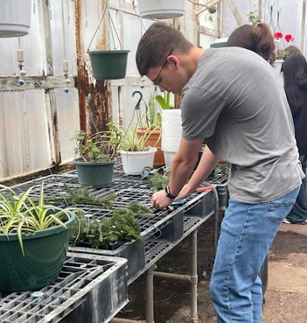 yadkincoschools's tweet photo. Students in Mrs. Bridges’ Horticulture class at FHS recently made wreaths, while Animal Science students took a field trip to the Greensboro Science Center and spent time behind the scenes with Veterinarians and Vet Techs https://t.co/IOg7fX6DF7 #CTEforNC https://t.co/77mKG2ppyO