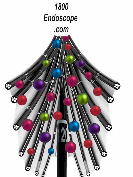 1800endoscope.com tweet media