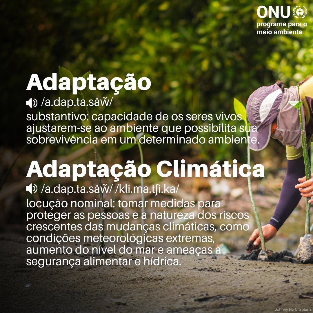 Uma Filósofa por Mês (@umafilosofapormes) • Instagram photos and videos, image size:1080x1080