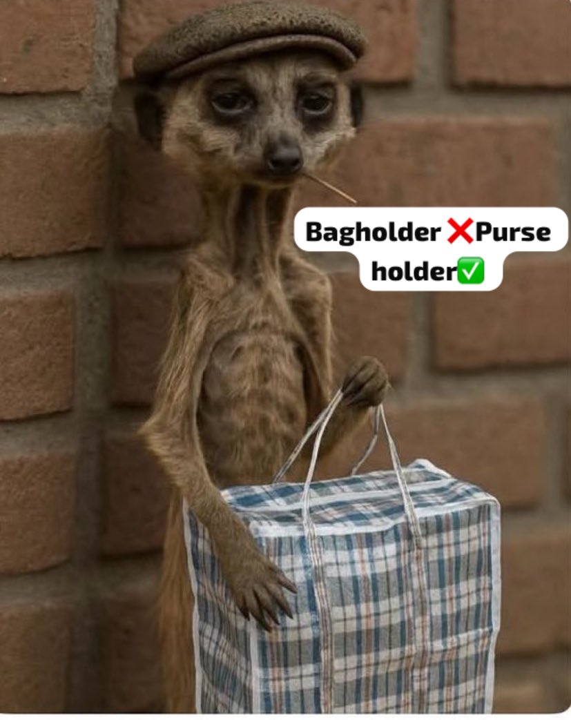 Hey I am purse holder 🥹