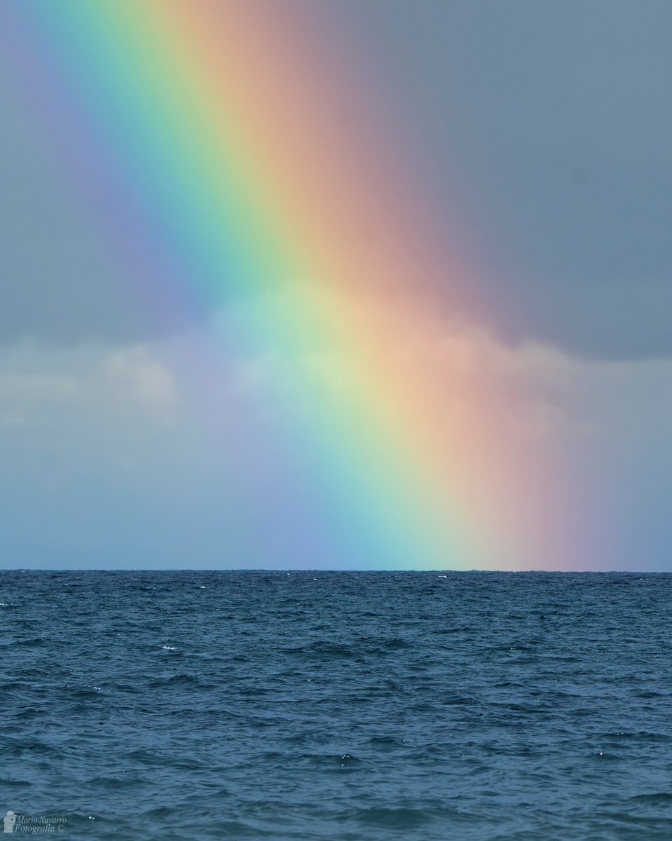 Mario Navarro tweet media