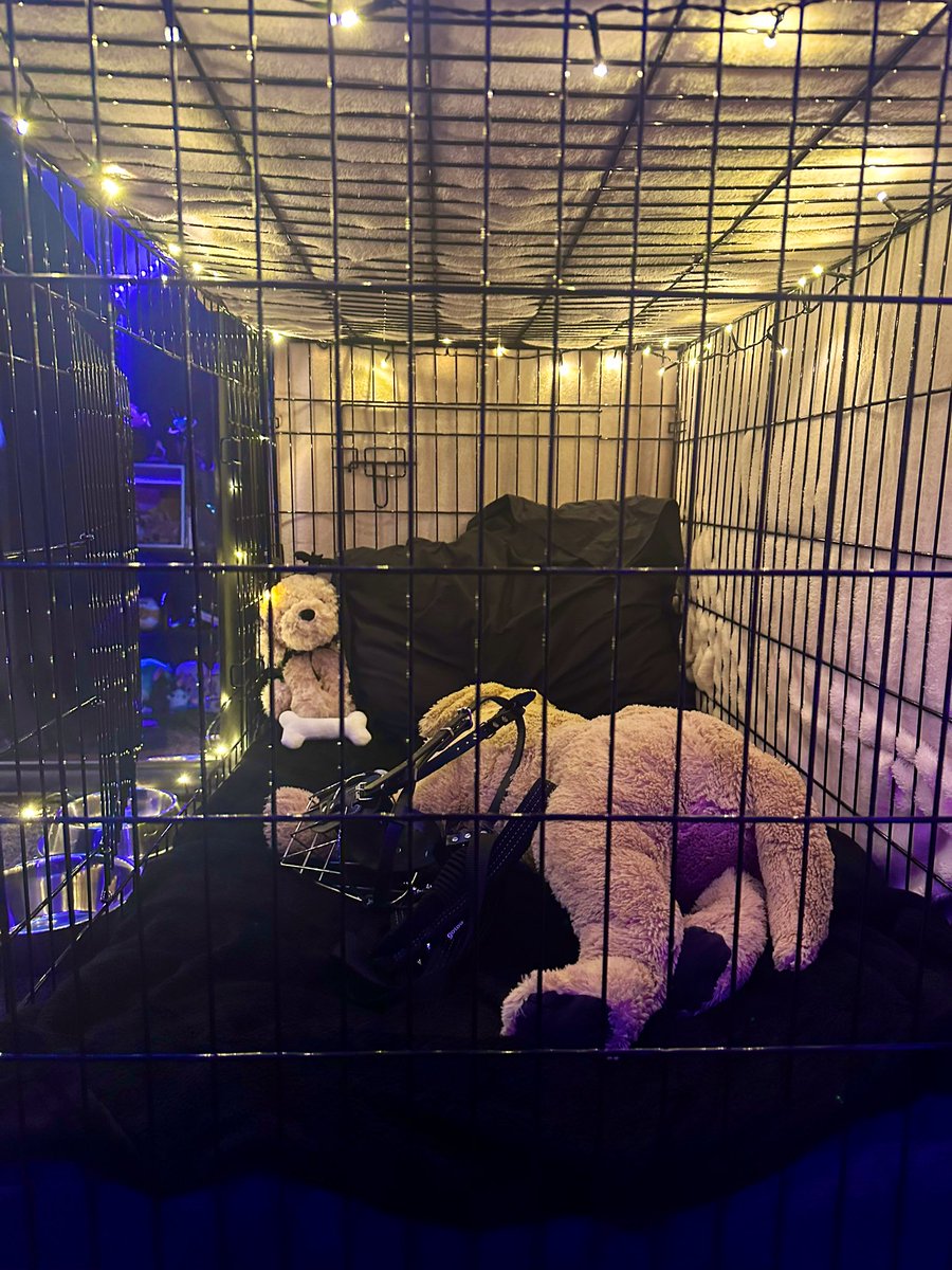 eddelvia's tweet image. Nice spot