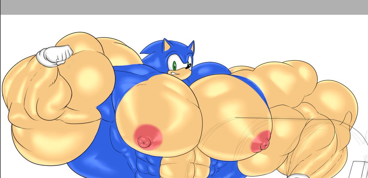 Adult sonic wip