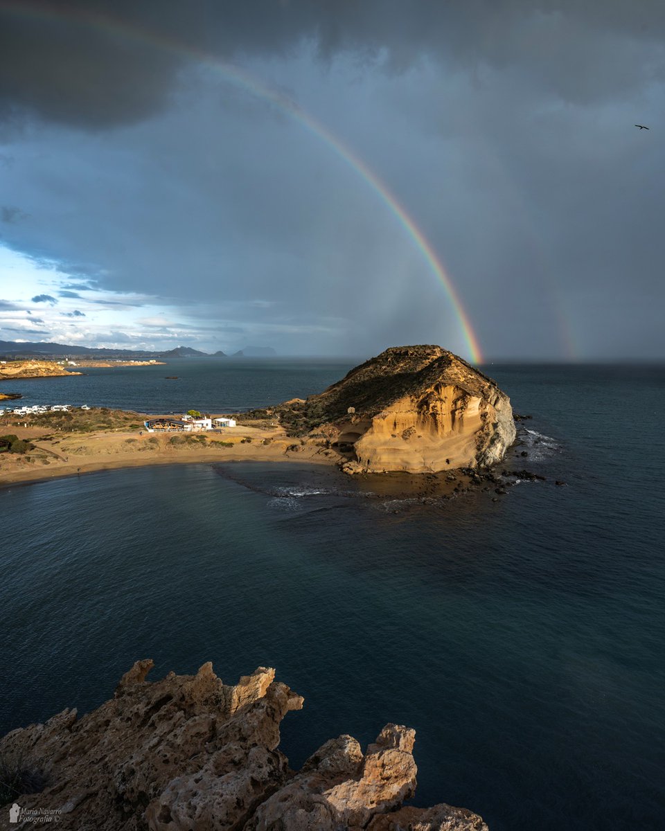 Mario Navarro tweet media