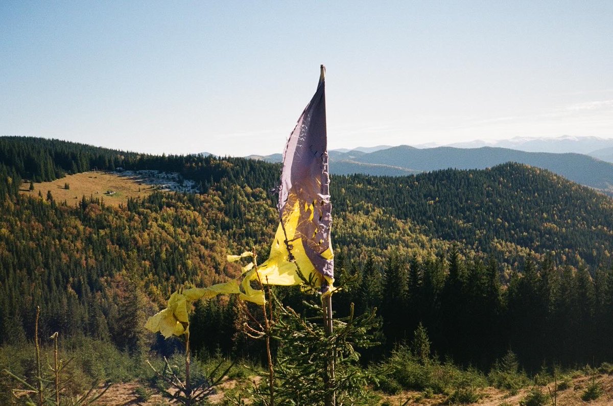 Рефлексії за відпусткою 🍁
