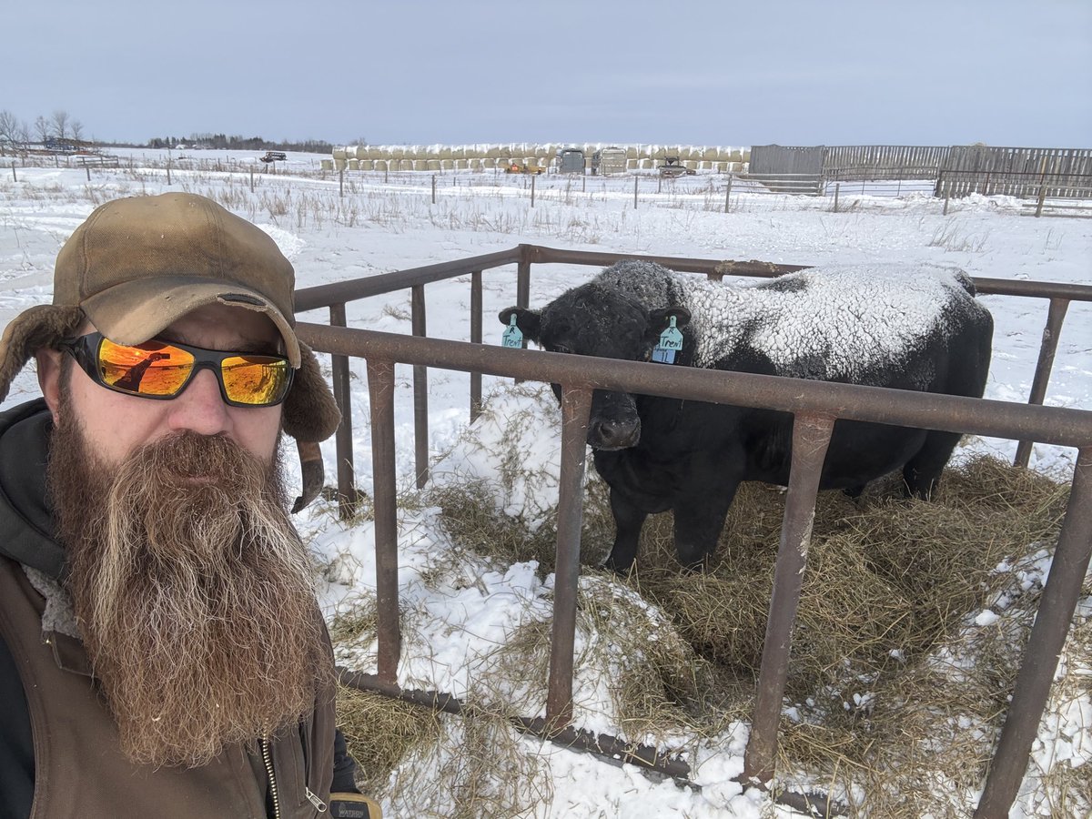 QuickDickMcDick 🇨🇦 tweet media