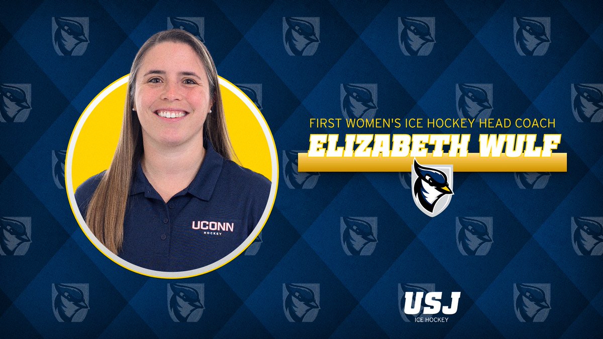 USJ Blue Jays tweet media