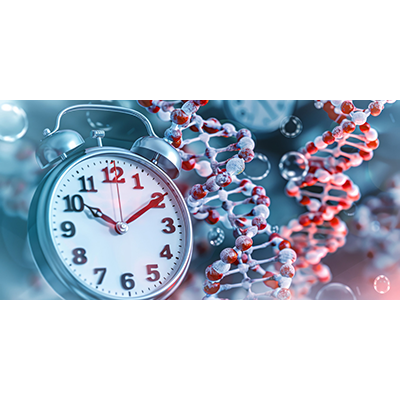 PhysRevLett's tweet photo. A thermodynamic constraint is placed on the spectrum of Markov rate matrices, allowing for a better understanding of the dynamics of biochemical clocks #OpenAccess
https://t.co/ndur0mtV4g https://t.co/wY8E4xA975