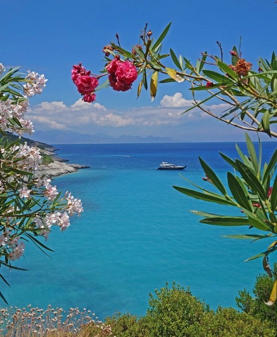 أفضل الأنشطة السياحية ننصحك بتجربتها في جزيرة زاكينوس #سياحة 