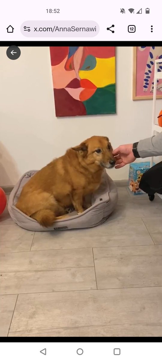 RUDY🆘🆘🆘🆘🆘