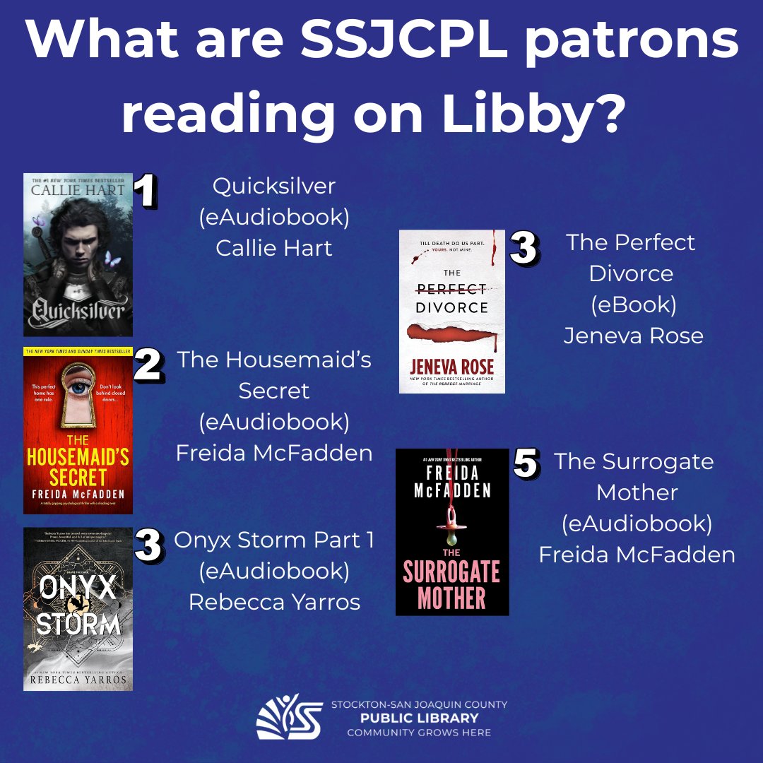 Check out SSJCPL's top digital checkouts in Libby for 2025.