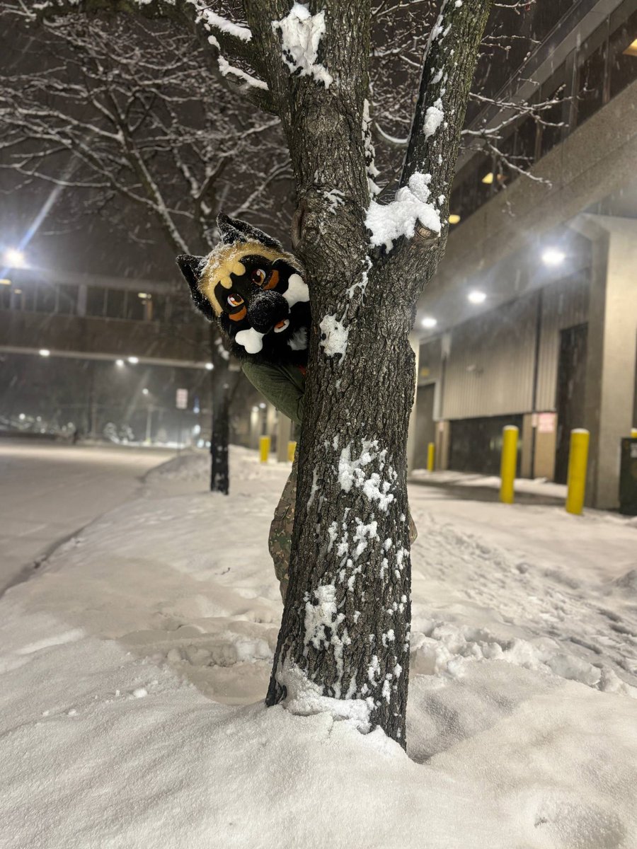 Popping in to ask… Any moots going to TFF and have room for pubby and wolp?