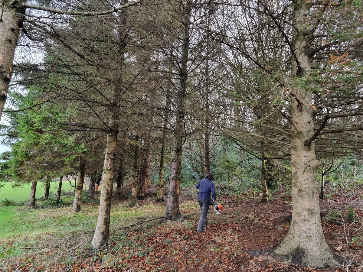 Lees Hall Golf Club tweet media