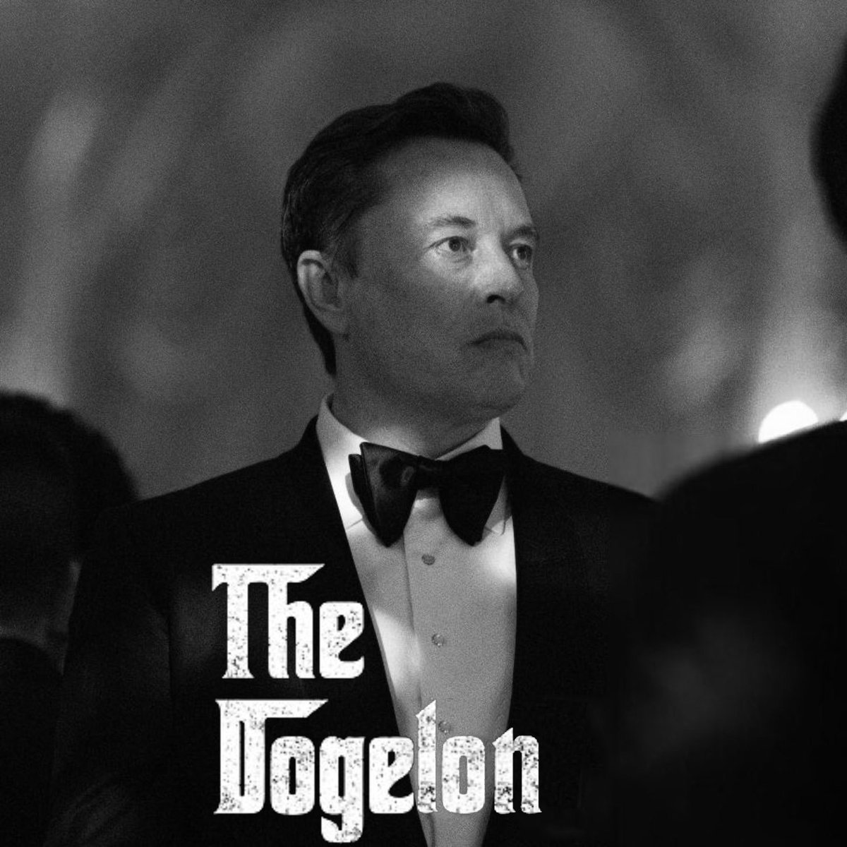 Heilagarh's tweet photo. The Dogelon
The most popular cryptocurrency associated with Elon Musk.
#DogelonMars $ELON #MarsCoin https://t.co/pun56uQaa7