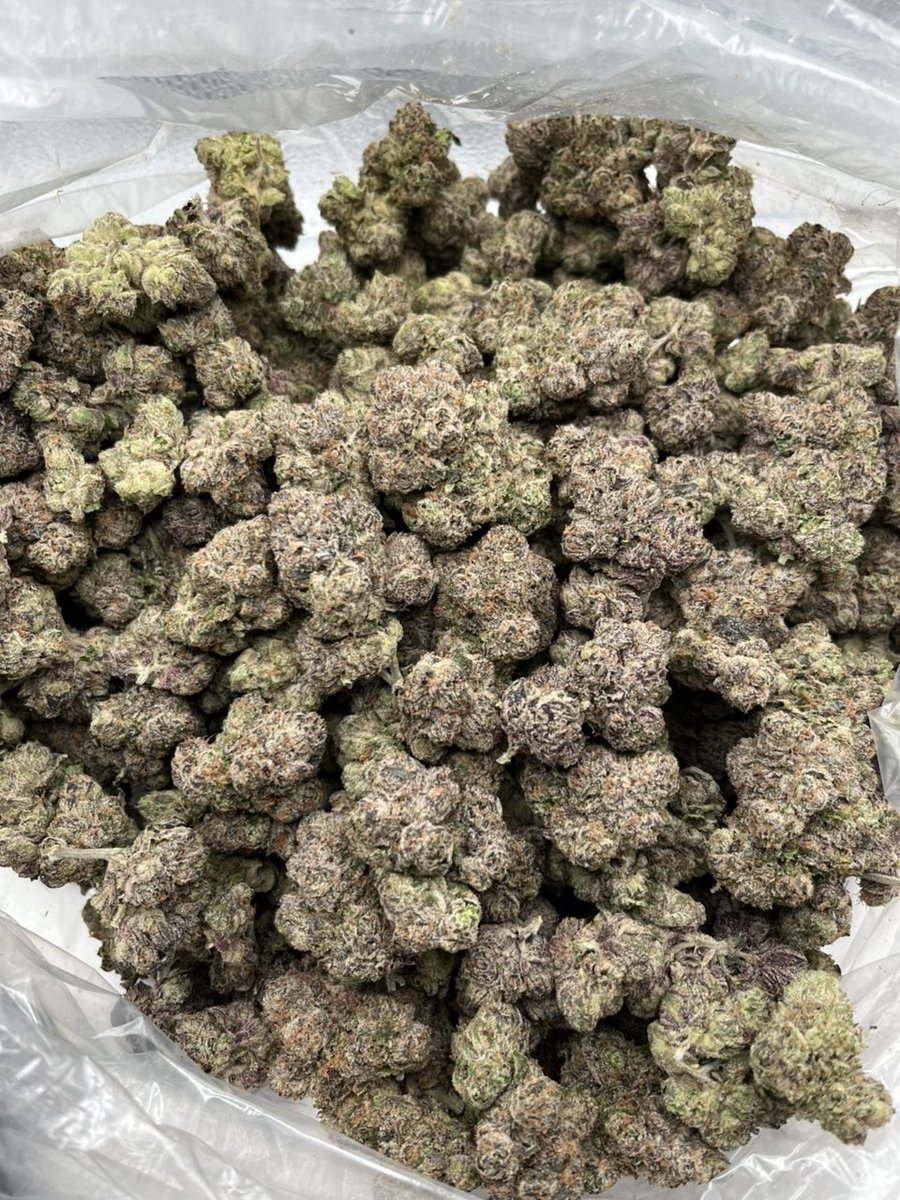 treptraphouse's tweet image. Serving 🌇🌇🌇
weed Mulhouse weed Besançon weed Caen weed Boulogne-Billancourt weed Nancy weed Rouen weed Argenteuil weed Montreuil weed Saint-Denis weed Avignon weed Poitiers weed Versailles weed Pau weed La Rochelle weed Chambéry

Check link in bio