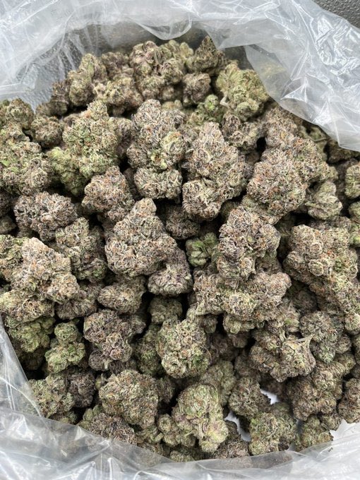 treptraphouse's tweet image. Serving 🌇🌇🌇
weed Mulhouse weed Besançon weed Caen weed Boulogne-Billancourt weed Nancy weed Rouen weed Argenteuil weed Montreuil weed Saint-Denis weed Avignon weed Poitiers weed Versailles weed Pau weed La Rochelle weed Chambéry

Check link in bio