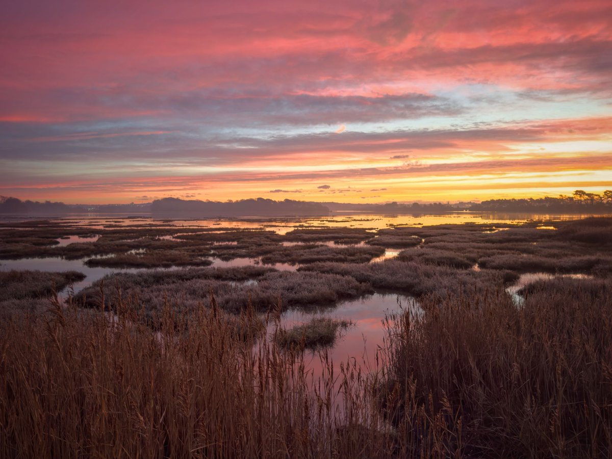 Ninebarrow tweet media