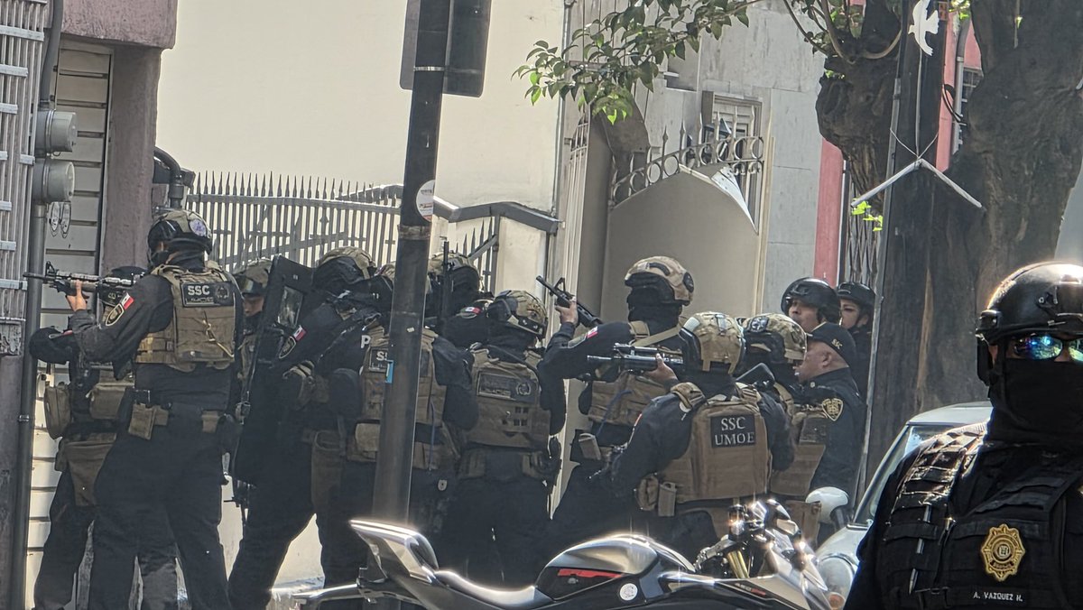 SERGIO ANGELO tweet media