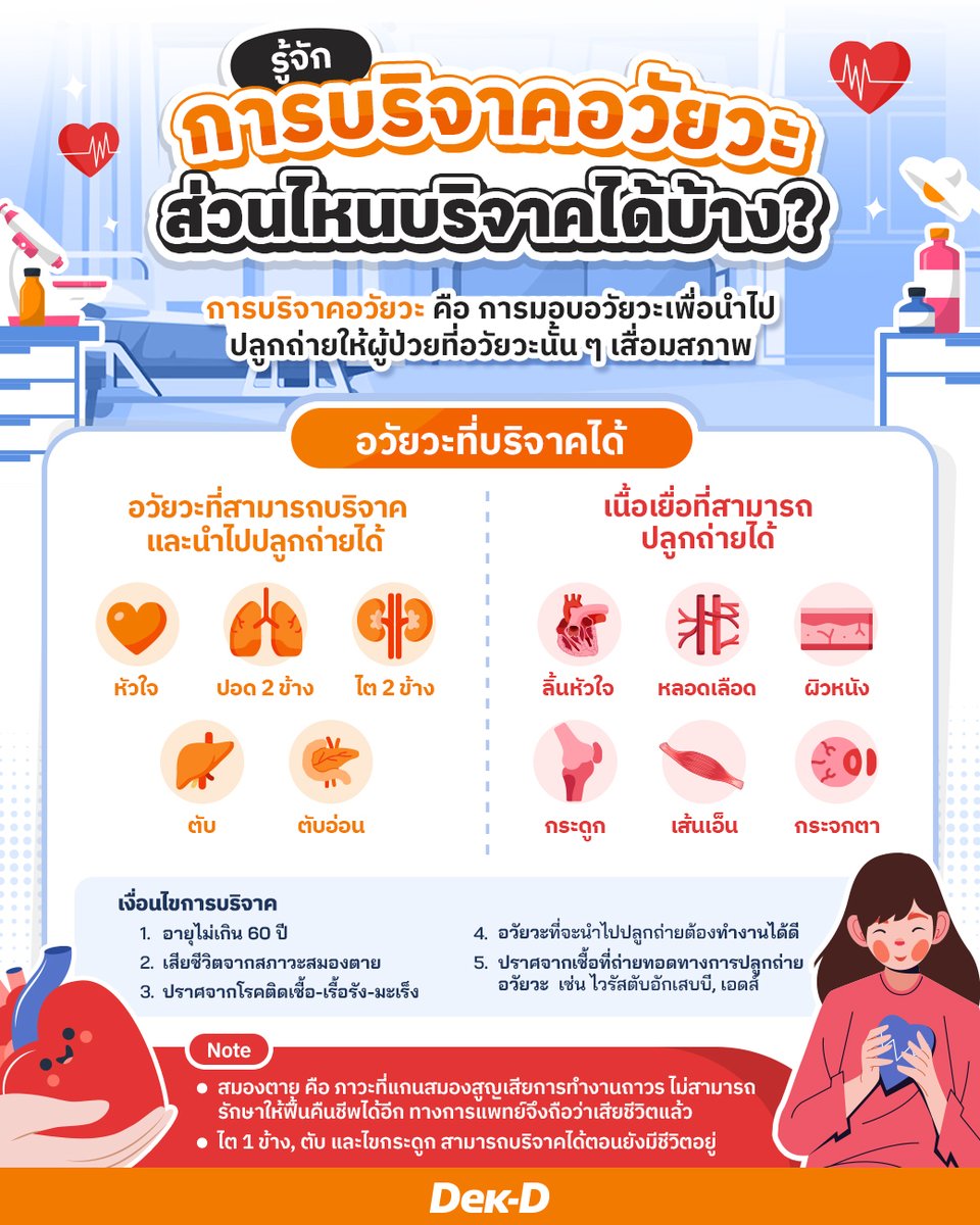 webdekd's tweet image. สิทธิประโยชน์ เงื่อนไข และขั้นตอน “การบริจาคอวัยวะ”: 1 ผู้ให้ ช่วยได้ 8 ชีวิต 🫀
.
#การบริจาคอวัยวะ คือ การมอบอวัยวะเพื่อนำไปปลูกถ่ายให้ผู้ป่วยที่อวัยวะนั้น ๆ เสื่อมสภาพ เงื่อนไขสำคัญสำหรับการบริจาคอวัยวะ คือ ผู้บริจาคต้องเสียชีวิตจากภาวะสมองตายเท่านั้น (ยกเว้น ไต 1 ข้าง, ตับ,…