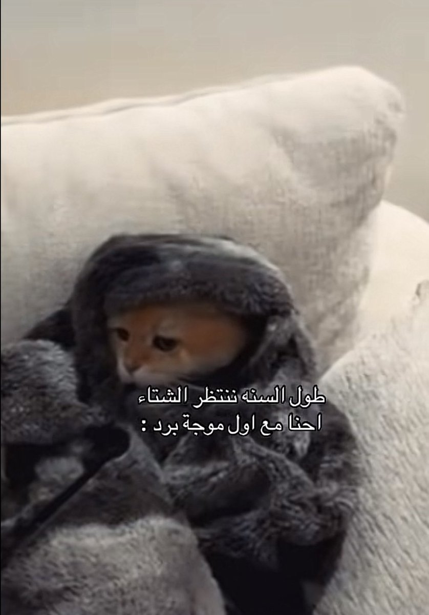 وضع الشعب الان: