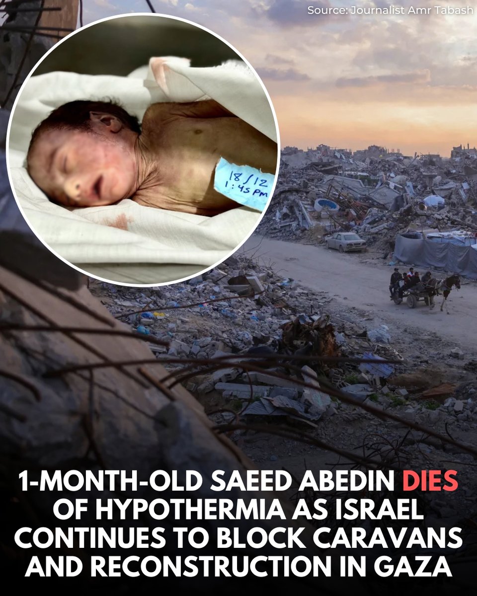 WearThePeace tweet media