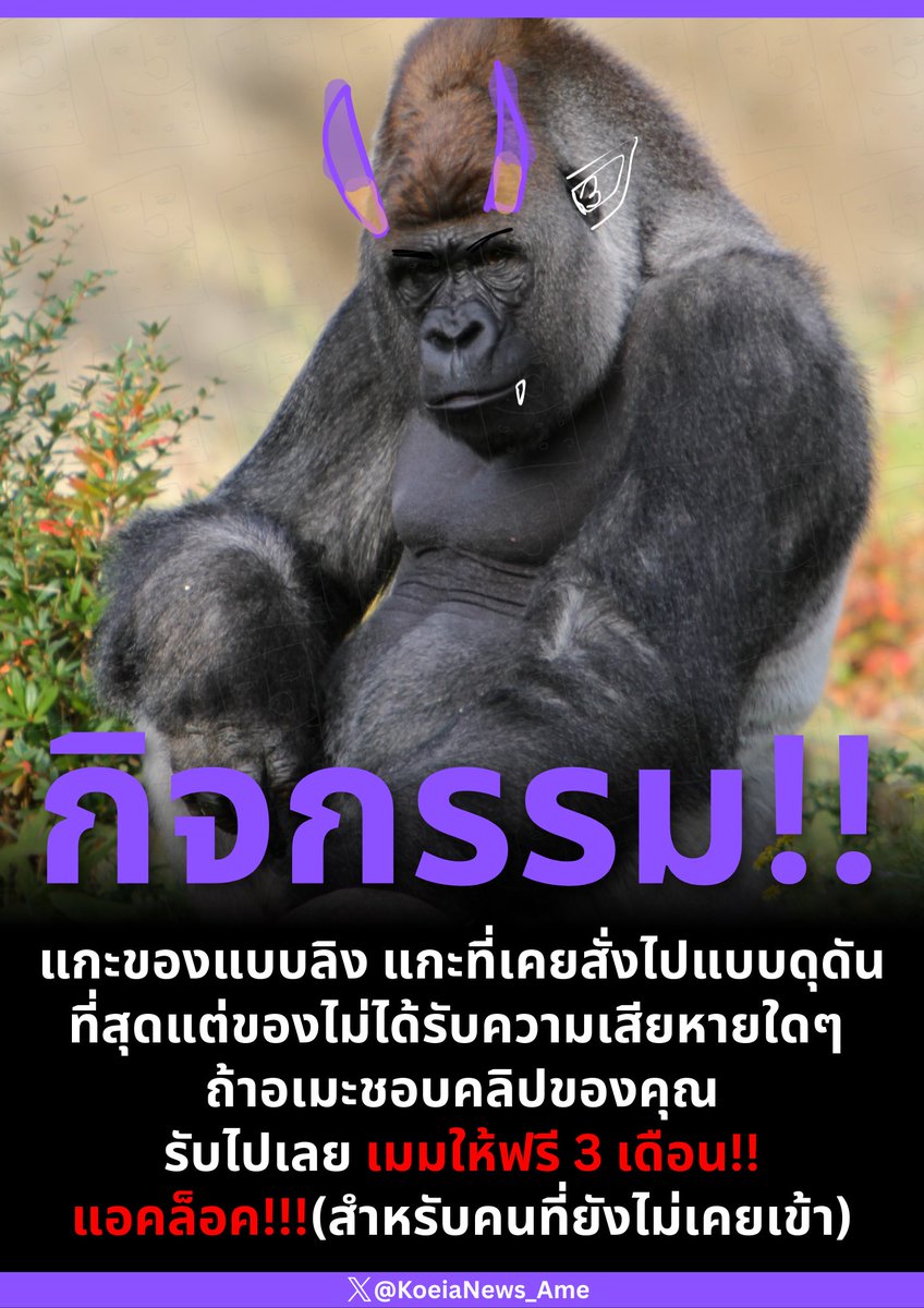 สั่งของอเมะตอนอีเว้นต่างๆ อาจจะมีกิจกรรมลับๆขึ้นมา เช่นอันนี้555555555555