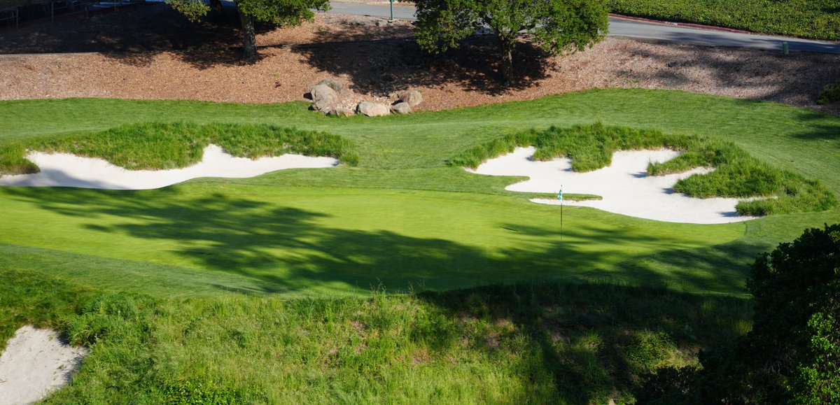 J. Liebert Golf Pics tweet media