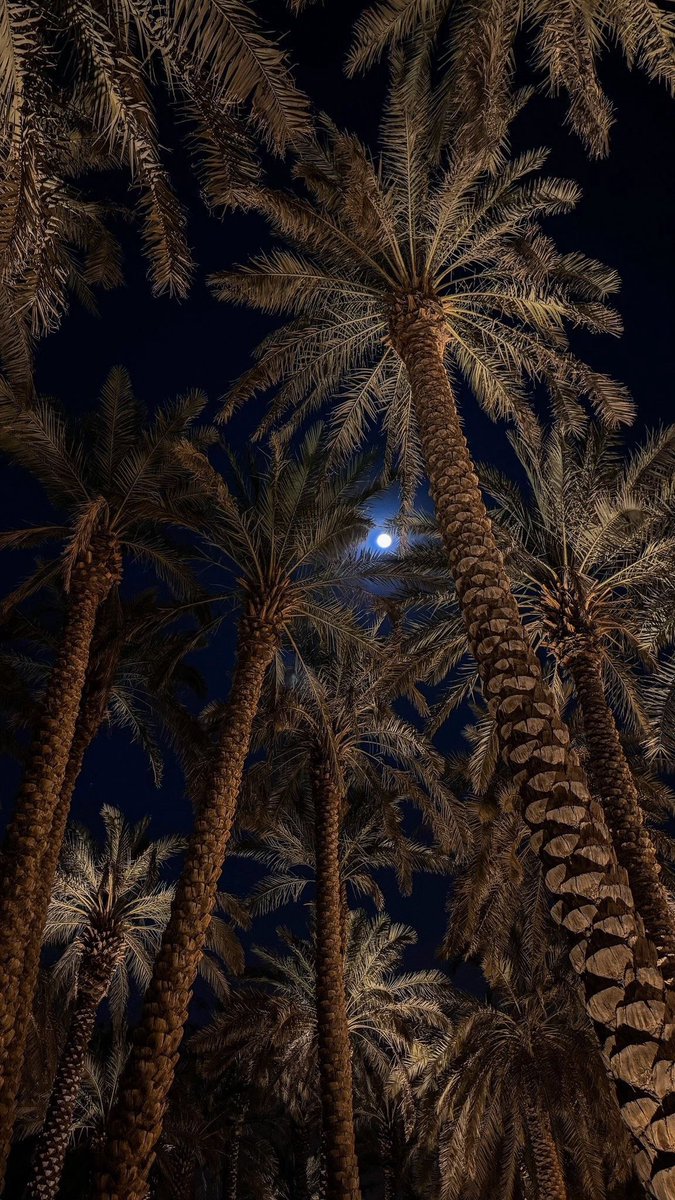 i5OQ_'s tweet image. تحاشيت الوداع .. ولا قدرت و سادت الاحزان
 ولا زالت معارك قصتي ماهيب منحسمه 

« ليا من هبّت النسمه على صدري وانا زعلان 
دريت انها تبسّم للحياه و هبّت النسمه » 

-فهد بن بجاد