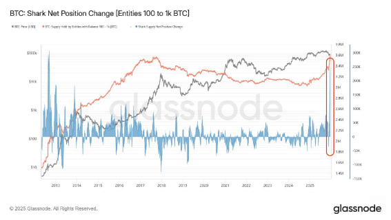 Catalina Castro tweet media