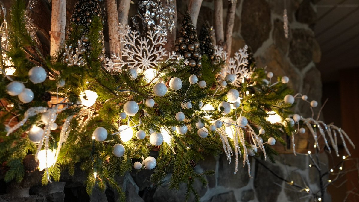 Dear Honey Run Friends,

With AI creeping into every aspect of our lives and the uncertainty of tomorrow in the world, there is peace I receive in staring into the forest with its fresh snow cover. 

Read more...
innathoneyrun.com/letter-from-ja…