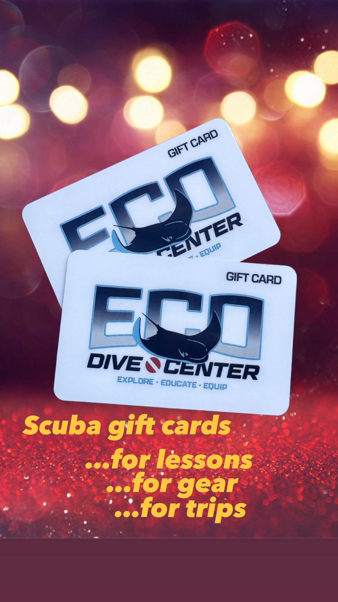EcoDiveCenter's tweet photo. give a gift of adventure! 
Be a hero this year and give them the coolest gift ever. Scuba lessons, scuba diving trips to local California islands, top rated scuba diving Equipment and any certification course from any top agency. All on sale. Visit us at 4027 Sepulveda Blvd. West Los Angeles, CA 90232. 
or just simply call us at 888-728-2252 and we can help you replace any order over the phone or online at https://t.co/yZW3b4MXoo