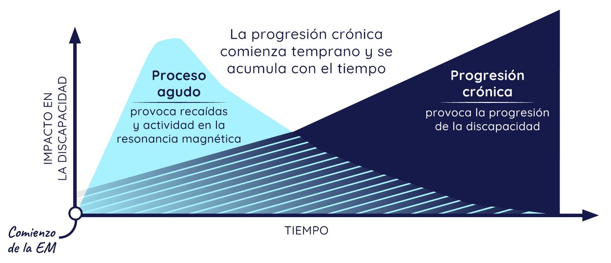 RedescubreLaEM's tweet photo. Se vislumbra una nueva era en la investigación de la #EsclerosisMúltiple gracias a un descubrimiento reciente que podría ayudar a explicar por qué algunos síntomas pueden empeorar con el tiempo.

Explora este nuevo avance #RedescubreLaEM.

https://t.co/WixHRHS9tA https://t.co/xUKUNahuo2