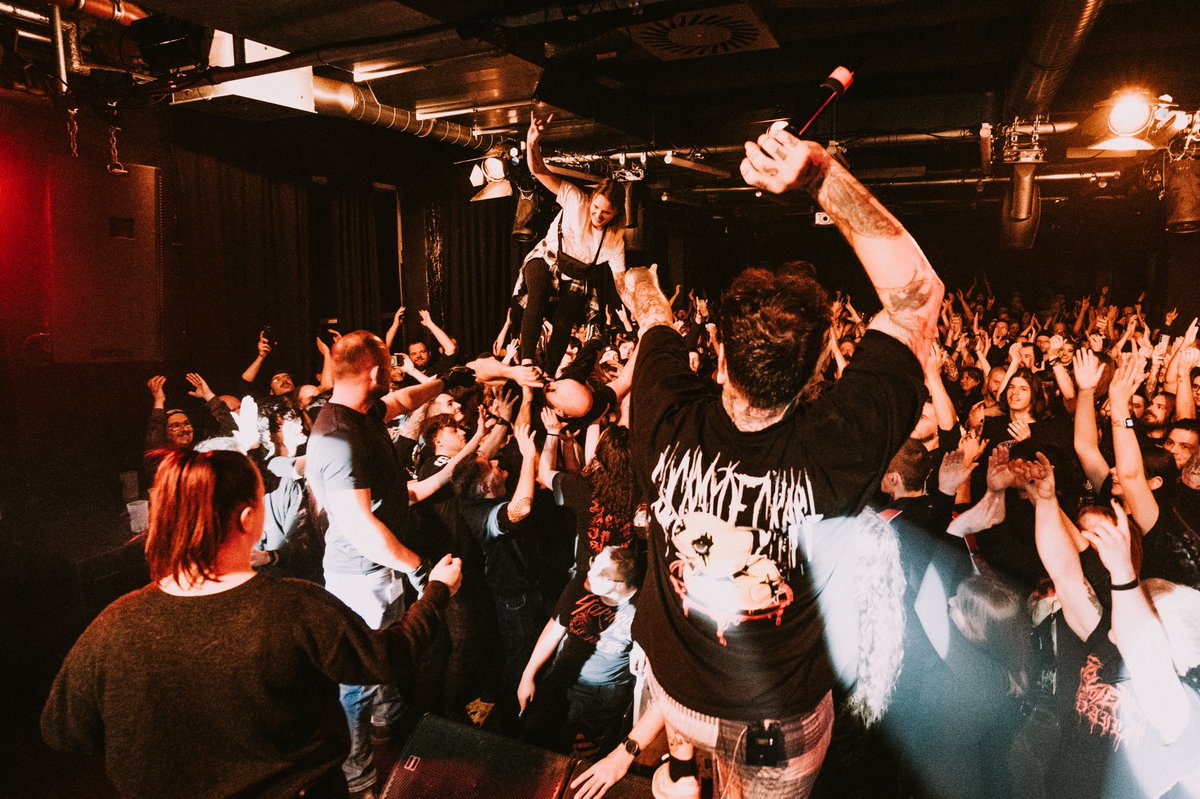 Signs of the Swarm tweet media