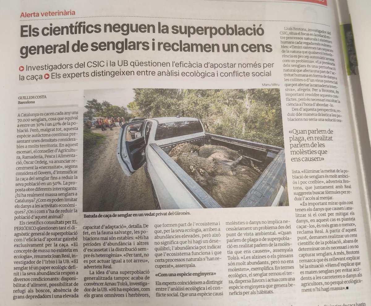 L'abundància d'espècies autòctones com el senglar, lluny de ser un desequilibri ecològic, és indicadora d'una recuperació de dinàmiques i processos clau en els nostres ecosistemes. Els termes plaga i superpoblació no responen a criteris ecològics i sovint són acientífics.
