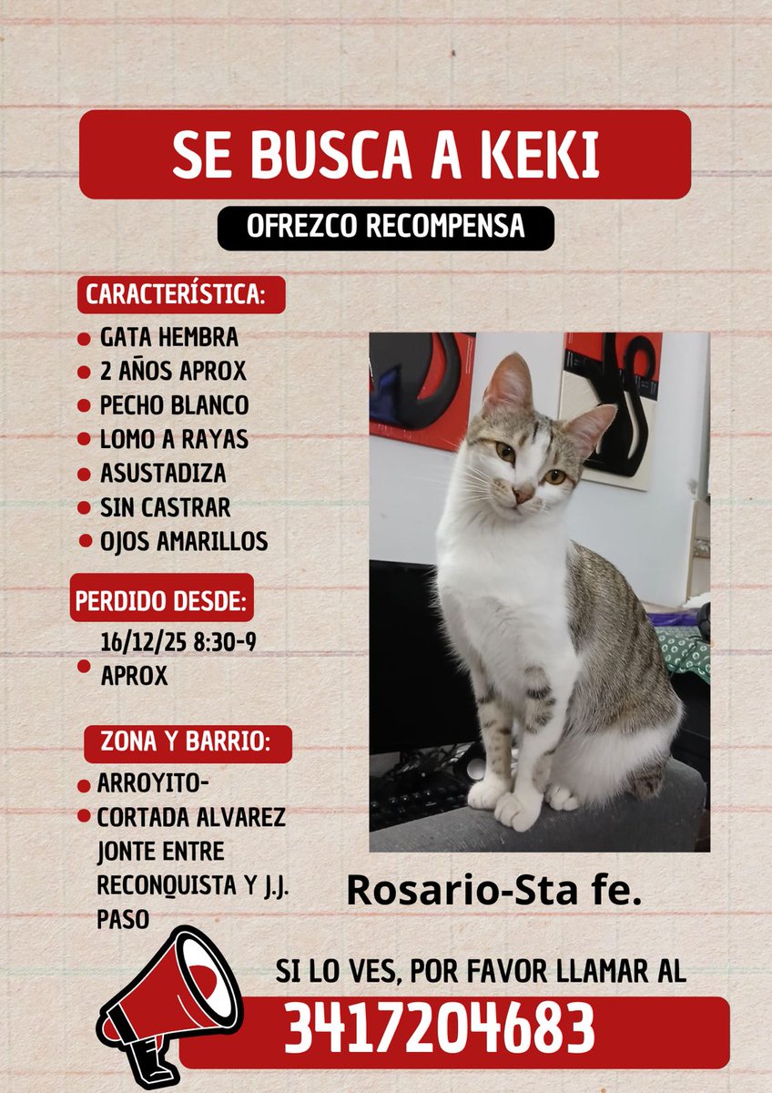 PlayGamerex's tweet image. Agradecería compartir o dar información, se me perdió mi gata Zona norte, Rosario, Santa Fe. 

#Gato #Gata #GatoPerdido #GataPerdida #GatosRosario #GatasRosario #Animalistas #PerdidosRosario