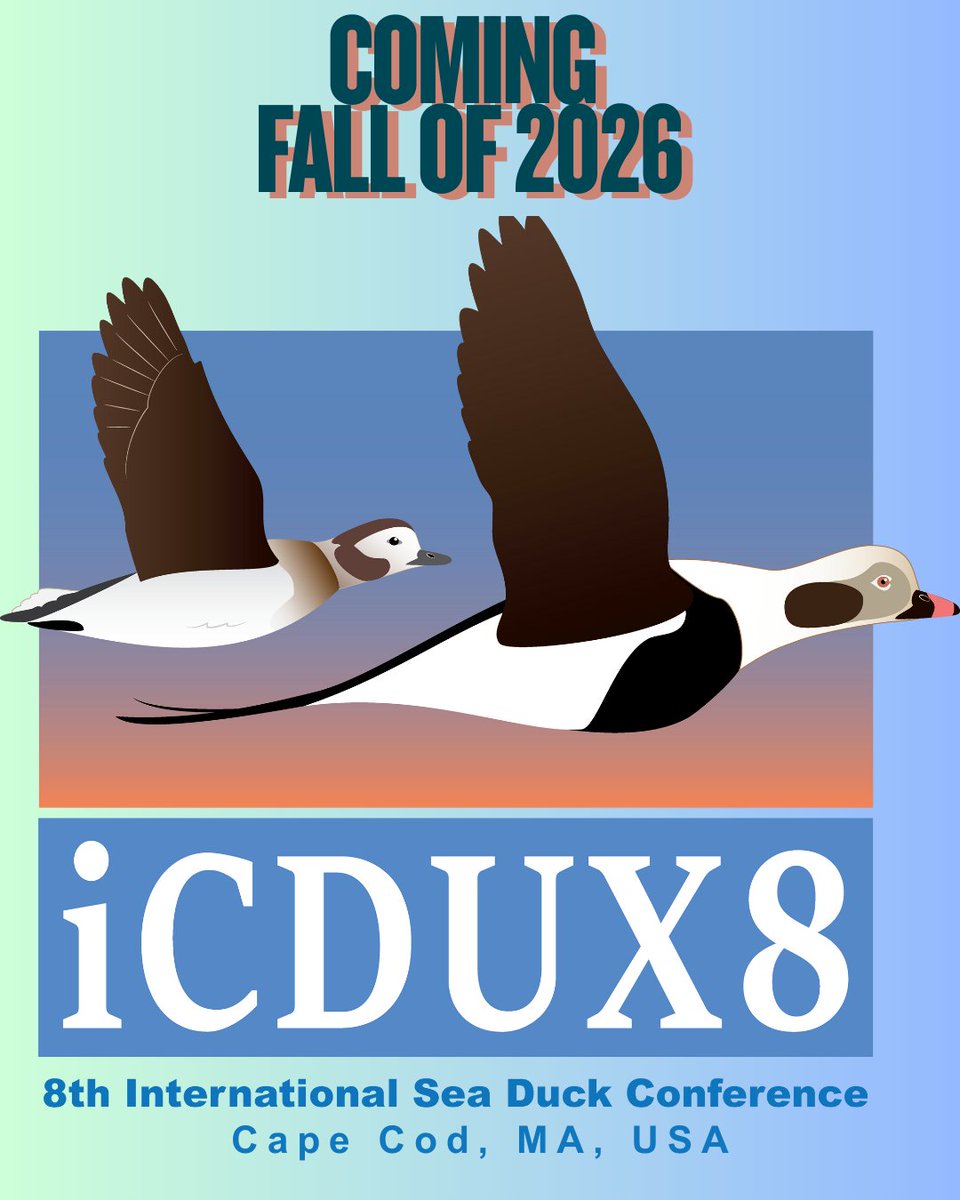seaduckconf's tweet photo. Announcing iCDux8!! The 8th International Sea Duck Conference is coming Fall 2026! Help us Plan and take this short survey @ https://t.co/Nk7zNjjTlr 

Stay tuned for more info in the coming weeks - https://t.co/zfMzlQzjfS https://t.co/QyHVnMxSJ4