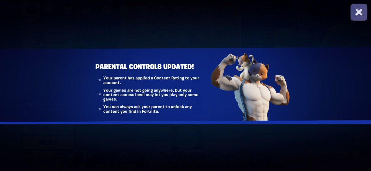 ghosty_graphics's tweet photo. Has anyone else had this happen to them? I went off cause I usually play moble (dont have pc rn) but i load up and get this even tho when I have no parent controls 

@Fortnite  whats going on with this? 

#fortnite https://t.co/AktMsygvuF
