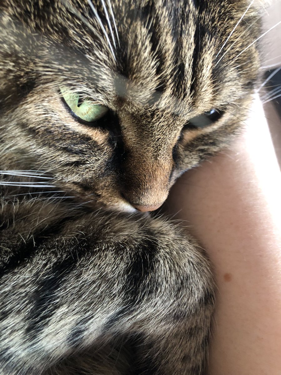 Люблю ее страшно