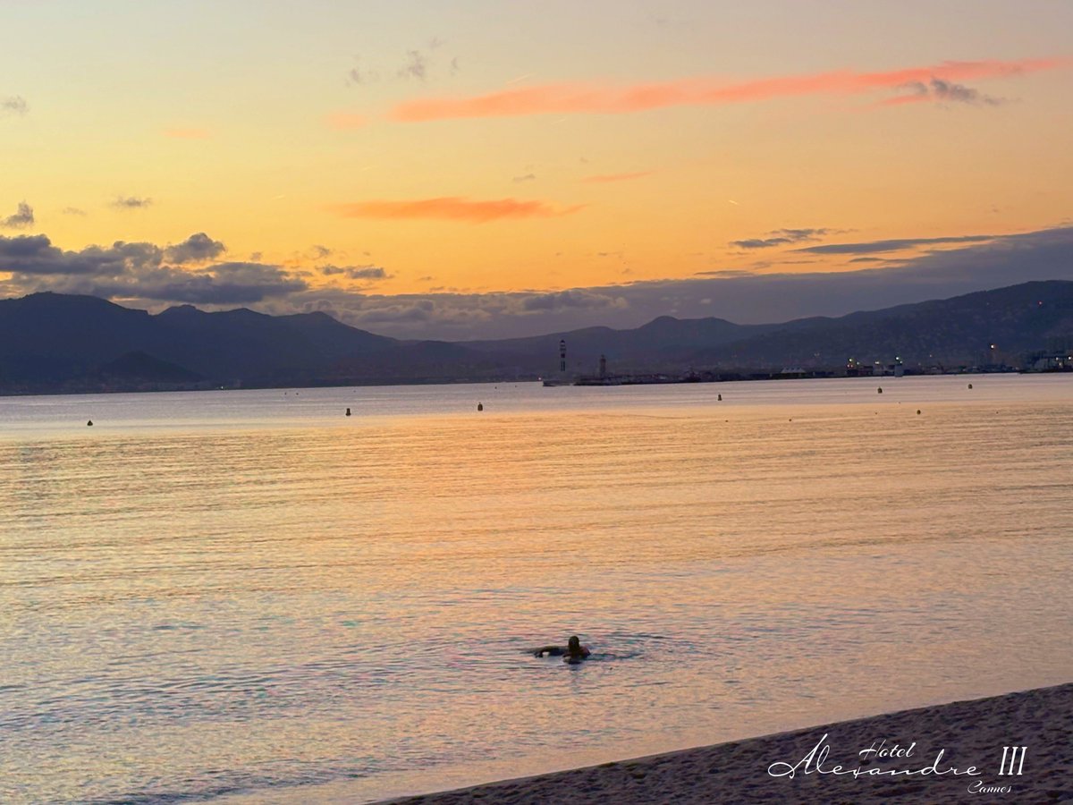 Hotel Alexandre III tweet media