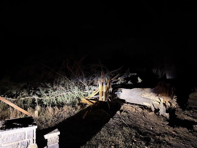 Xcel Energy Colorado tweet media