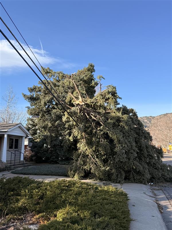 Xcel Energy Colorado tweet media