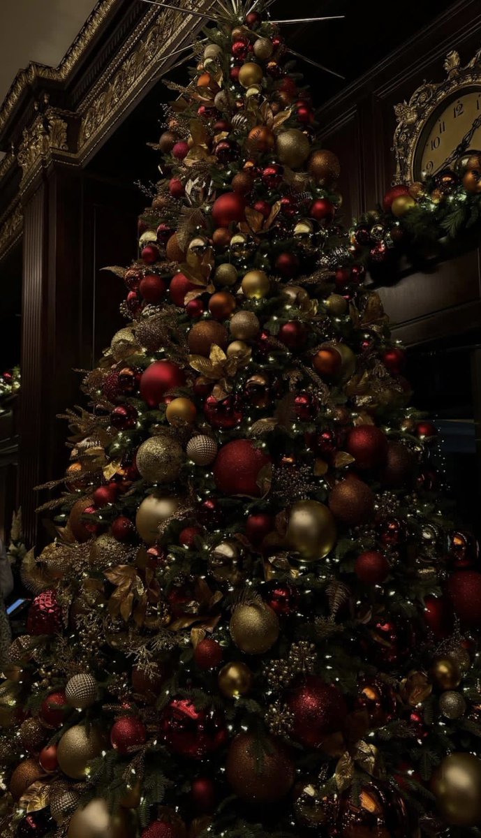 St. Martha CES_TCDSB tweet media