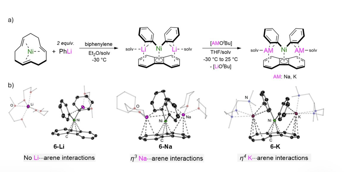 EvaHeviaGroup's tweet image. Just on time before the #holidays 🎄🎅! Check out @vedaniluca perspective article @CHIMIA_journal 🇨🇭on the #coordination of organic #PiAcceptors to #AlkaliMetal #Nickelates #OrganometallicChemistry #eucomc2025 #OpenAccess @DCBPunibern 
chimia.ch/chimia/article…