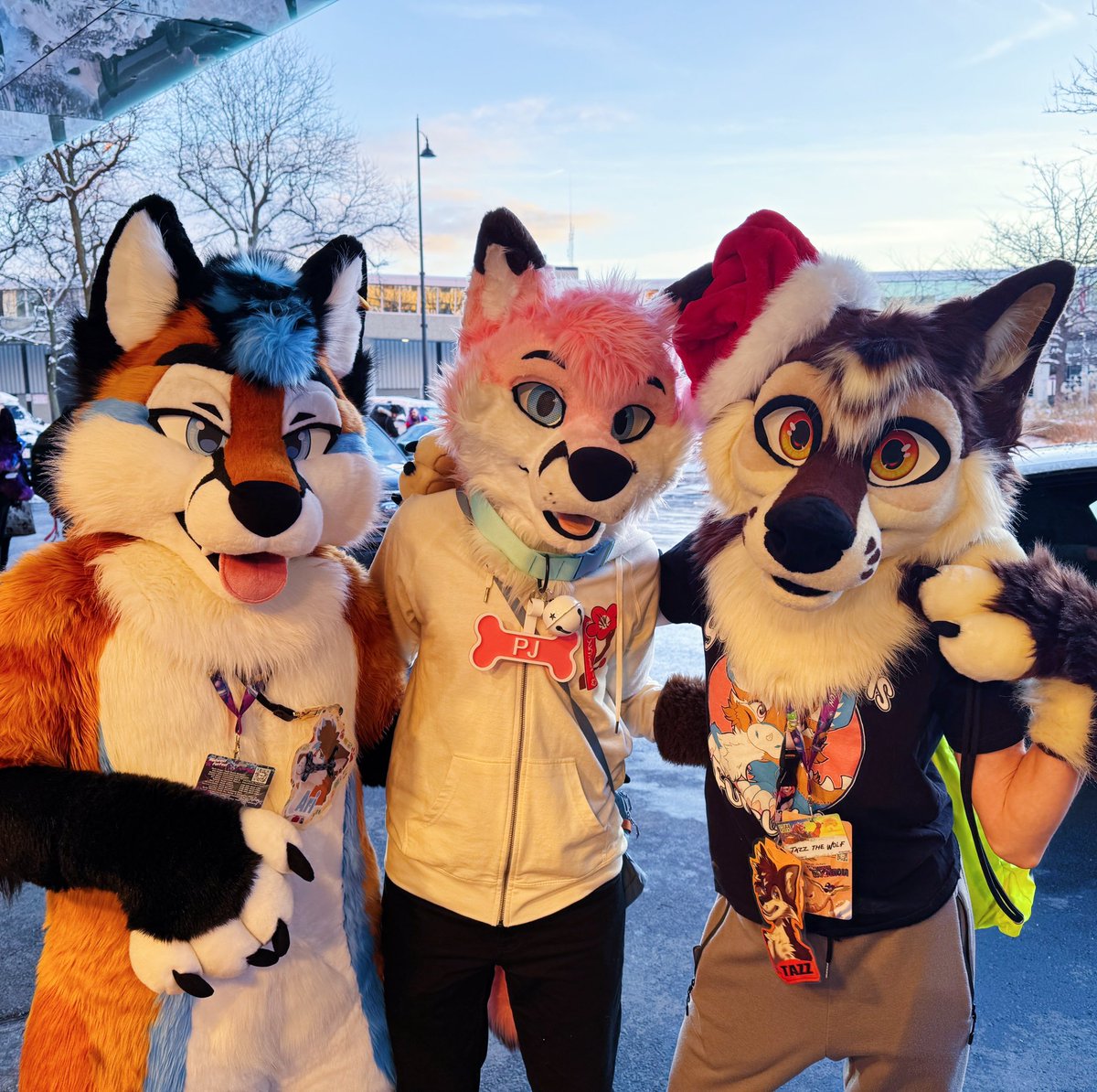 Ari 🦊 🔜 ANE (@FoxNamedAri) / Posts / X