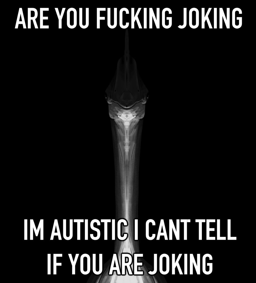 𓆀 WEZDARCHID 🍉 tweet media