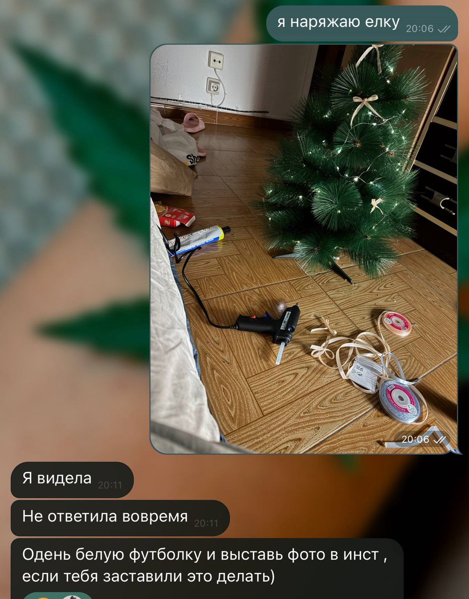 саша.тчк. tweet media