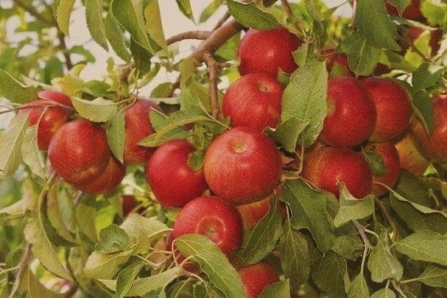 superalof tweet media