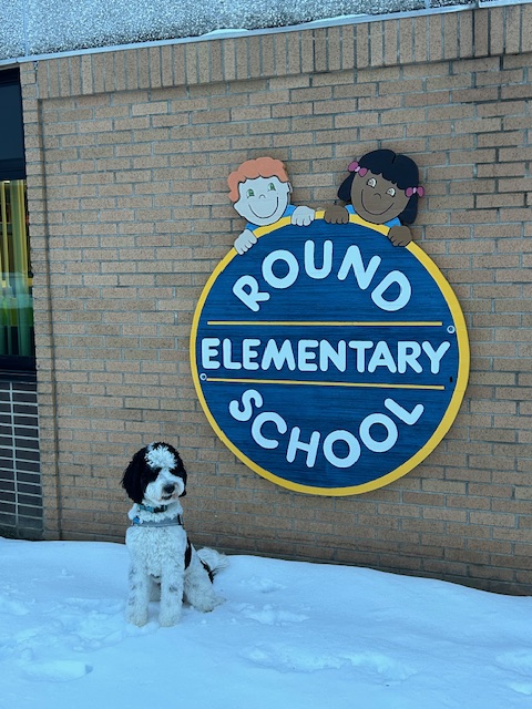 Round Elementary tweet media