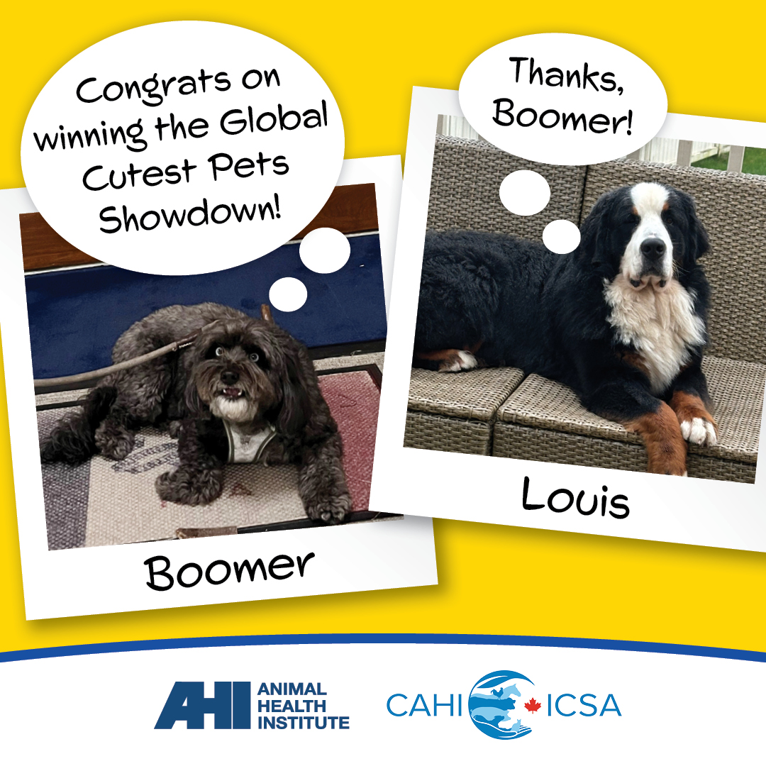 AnimalsHealthy tweet media