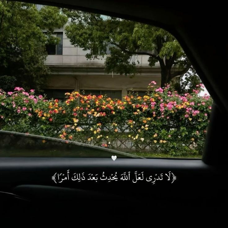 علم ينتفع به (@ile2ss) on Twitter photo 